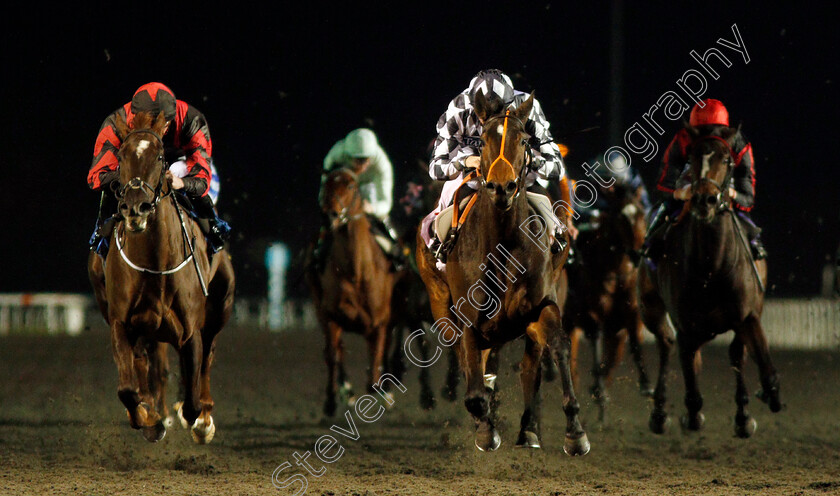 Cry-Havoc-0001 
 CRY HAVOC (centre, Rob Hornby) beats LAPSES LINGUAE (left) in The 32Red Casino Fillies Novice Auction Stakes
Kempton 20 Nov 2019 - Pic Steven Cargill / Racingfotos.com