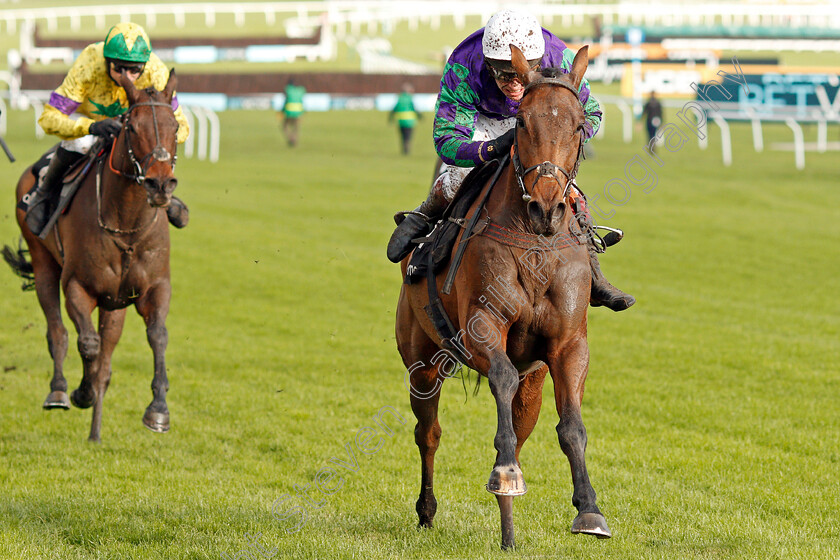 Thyme-Hill-0006 
 THYME HILL (Richard Johnson) wins The Ballymore Novices Hurdle
Cheltenham 16 Nov 2019 - Pic Steven Cargill / Racingfotos.com