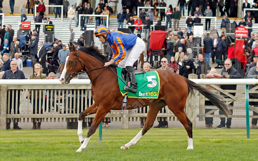 Library-0002 
 LIBRARY (Ryan Moore)
Newmarket 7 Oct 2022 - Pic Steven Cargill / Racingfotos.com