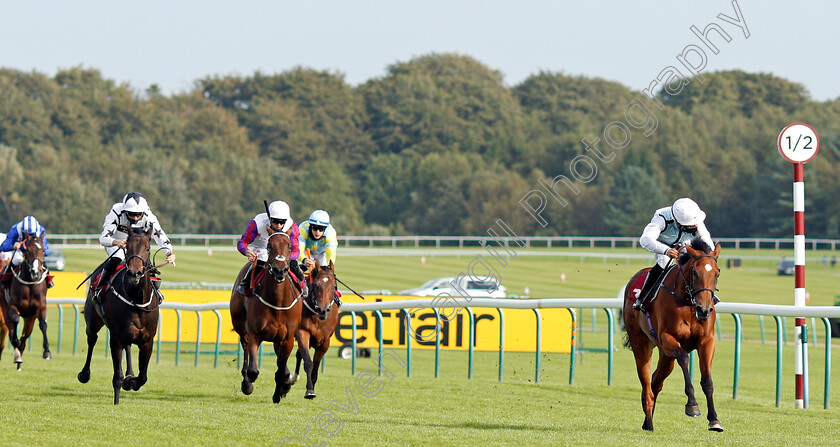 Teodolina-0001 
 TEODOLINA (Sean Levey) wins The Betfair Exchange Free Bet Streak EBF Fillies Novice Stakes
Haydock 4 Sep 2020 - Pic Steven Cargill / Racingfotos.com