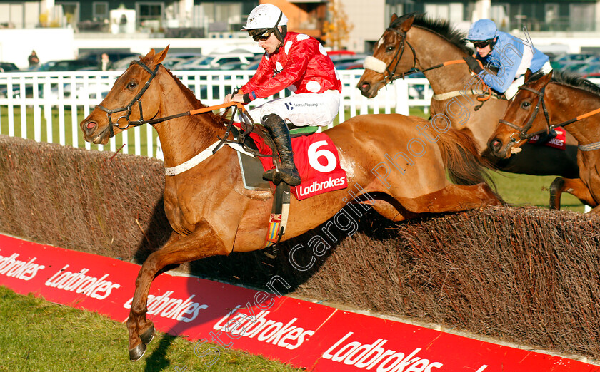 Wenyerreadyfreddie-0001 
 WENYERREADYFREDDIE (Jeremiah McGrath)
Newbury 29 Nov 2019 - Pic Steven Cargill / Racingfotos.com