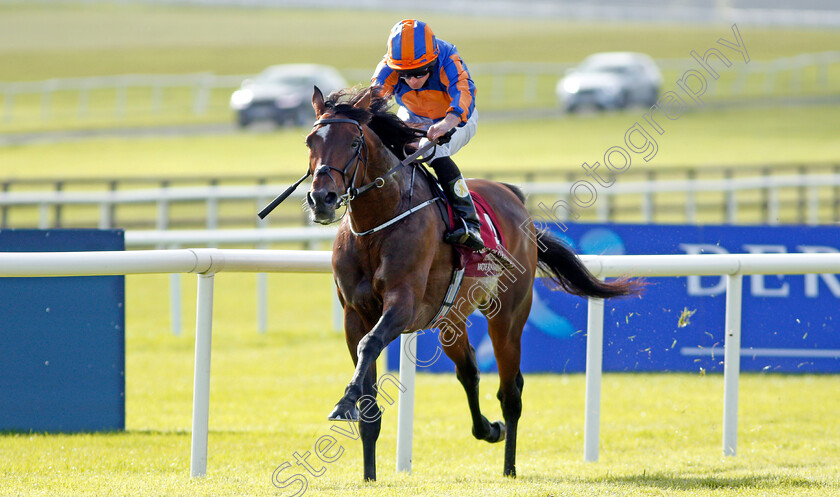 Order-Of-St-George-0004 
 ORDER OF ST GEORGE (Ryan Moore) wins The Comer Group International Irish St Leger Curragh 10 Sep 2017 - Pic Steven Cargill / Racingfotos.com