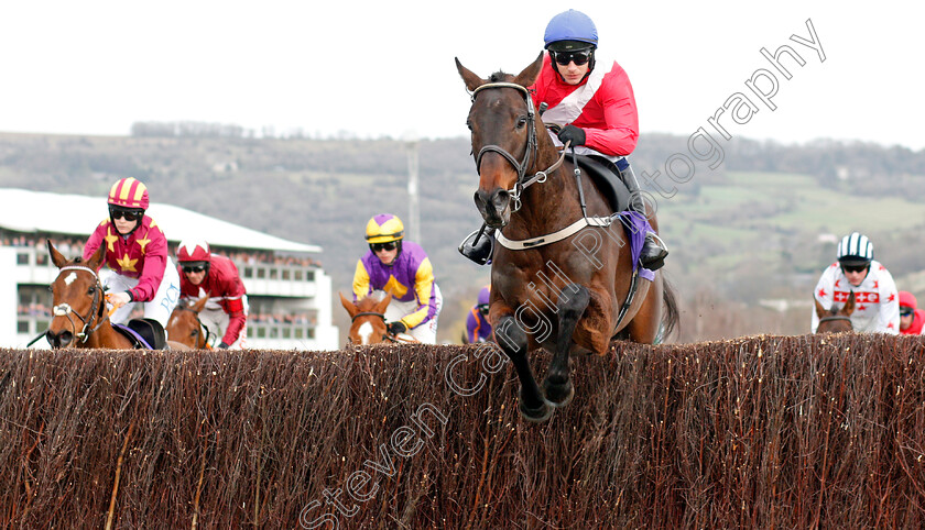 Allaho-0002 
 ALLAHO (Paul Townend)
Cheltenham 11 Mar 2020 - Pic Steven Cargill / Racingfotos.com