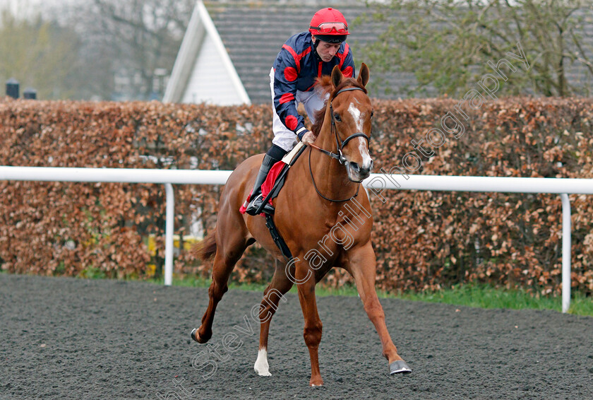 Perfect-Hustler-0001 
 PERFECT HUSTLER (John Egan) Kempton 11 Apr 2018 - Pic Steven Cargill / Racingfotos.com