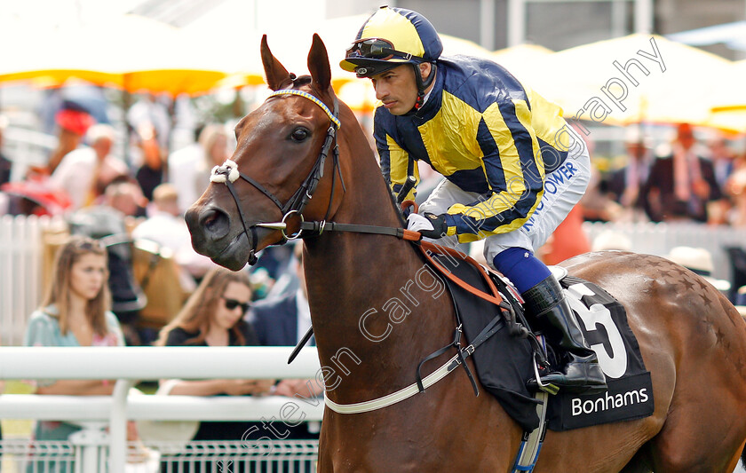 I-Could-Do-Better-0001 
 I COULD DO BETTER (Silvestre De Sousa)
Goodwood 2 Aug 2019 - Pic Steven Cargill / Racingfotos.com