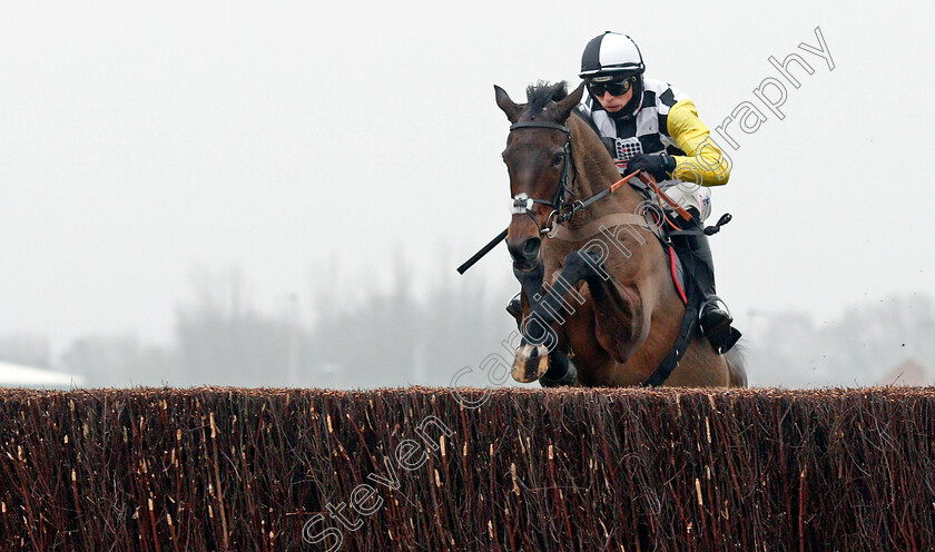 Next-Destination-0002 
 NEXT DESTINATION (Harry Cobden) wins The Ladbrokes John Francome Novices Chase
Newbury 28 Nov 2020 - Pic Steven Cargill / Racingfotos.com