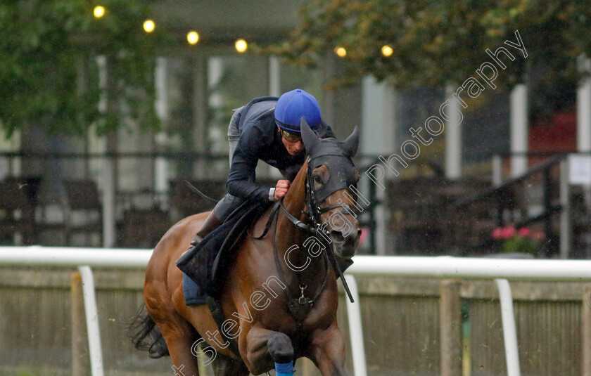 Emily-Upjohn-0008 
 EMILY UPJOHN (William Buick) in racecourse gallop 
Newmarket 1 Jul 2023 - Pic Steven Cargill / Racingfotos.com