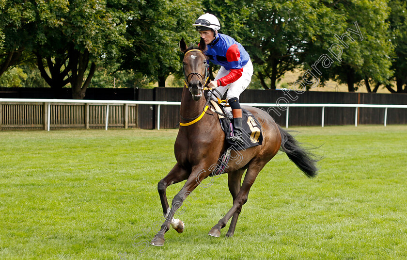 Lady-Clemmie 
 LADY CLEMMIE (Dylan Hogan)
Newmarket 30th July 2022 - Pic Steven Cargill / Racingfotos.com