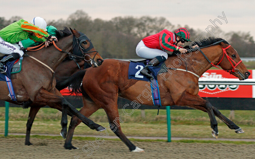 Easy-Tiger-0004 
 EASY TIGER (Georgia Cox) beats DUTCH UNCLE (left) in The Betway Apprentice Handicap Lingfield 2 Feb 2018 - Pic Steven Cargill / Racingfotos.com