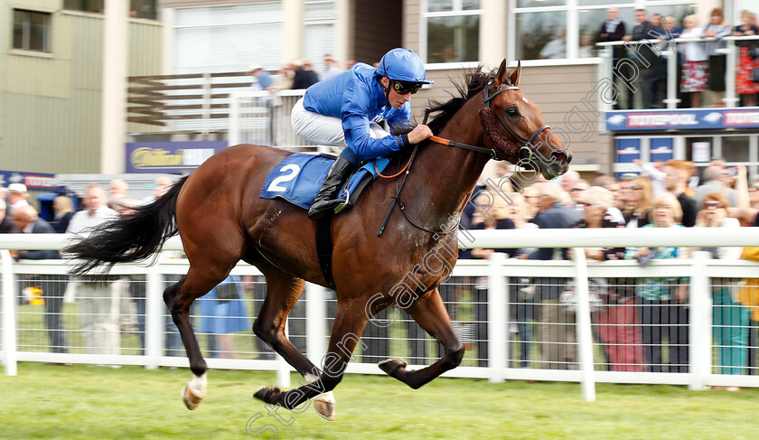 Winds-Of-Fire-0002 
 WINDS OF FIRE (William Buick) wins The Kevin Hall & Pat Boakes Memorial Handicap
Salisbury 16 Aug 2018 - Pic Steven Cargill / Racingfotos.com