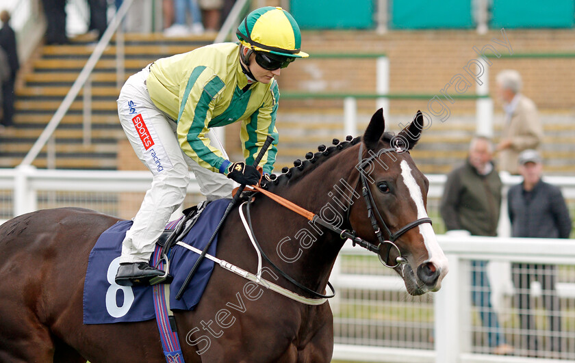 Baileys-Accolade-0002 
 BAILEYS ACCOLADE (Hollie Doyle)
Yarmouth 14 Sep 2021 - Pic Steven Cargill / Racingfotos.com