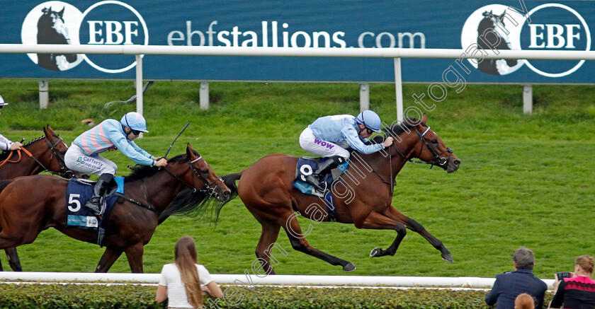 God s-Window-0001 
 GOD'S WINDOW (Kieran Shoemark) wins The British EBF 40th Anniversary Maiden Stakes
Doncaster 16 Sep 2023 - Pic Steven Cargill / Racingfotos.com