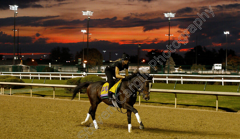 Yoshida-0001 
 YOSHIDA exercising ahead of The Breeders' Cup Classic
Churchill Downs USA 31 Oct 2018 - Pic Steven Cargill / Racingfotos.com