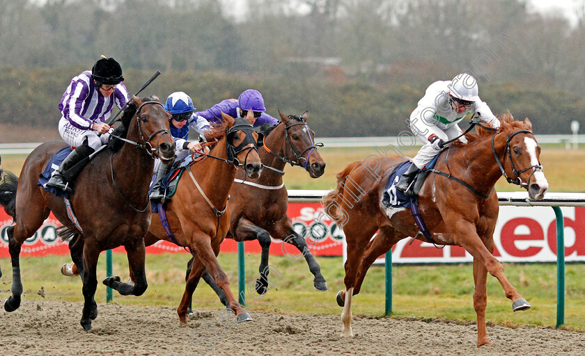 Utmost-0006 
 UTMOST (Robert Havlin) beats VICTORY BOND (left) in The Betway Winter Derby Trial Stakes Lingfield 3 Feb 2018 - Pic Steven Cargill / Racingfotos.com