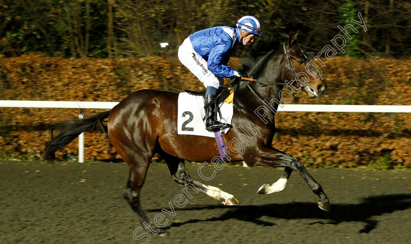 Alhaazm-0001 
 ALHAAZM (Jim Crowley)
Kempton 12 Dec 2018 - Pic Steven Cargill / Racingfotos.com