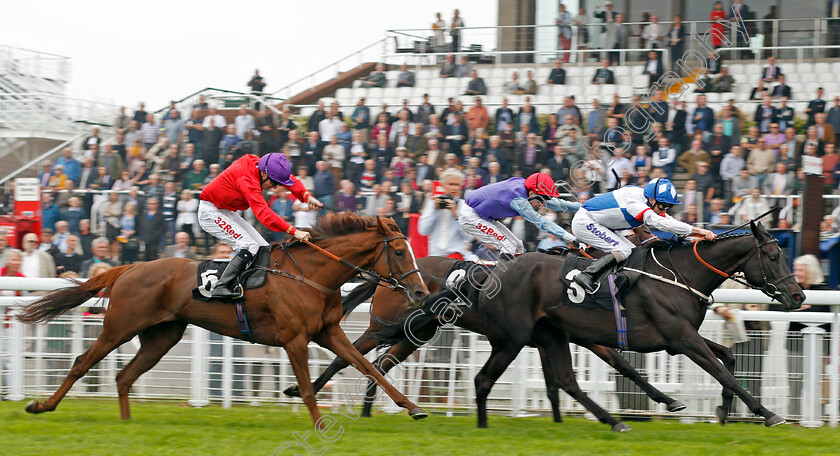 Renfrew-Street-0002 
 RENFREW STREET (Joe Fanning) beats MELINOE (farside) and NOTICE (left) in The TBA Centenary Fillies Handicap Goodwood 27 Sep 2017 - Pic Steven Cargill / Racingfotos.com