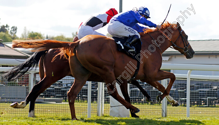 Alfaadhel-0007 
 ALFAADHEL (Jim Crowley) wins The Boodles Maiden Stakes
Chester 5 May 2021 - Pic Steven Cargill / Racingfotos.com