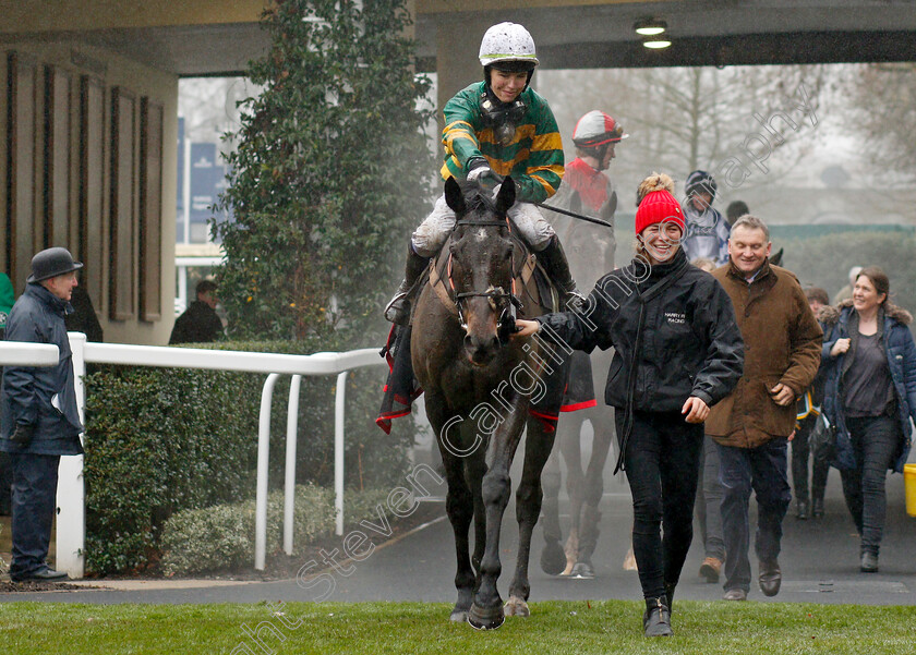 Drumcliff-0004 
 DRUMCLIFF (Aine O'Connor) after The Thames Materials Amateur Riders Handicap Chase Ascot 20 Jan 2018 - Pic Steven Cargill / Racingfotos.com