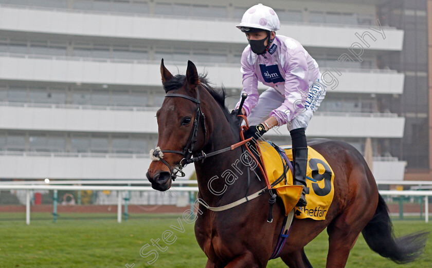 Eagle-Court-0002 
 EAGLE COURT (Cam Hardie)
Doncaster 7 Nov 2020 - Pic Steven Cargill / Racingfotos.com