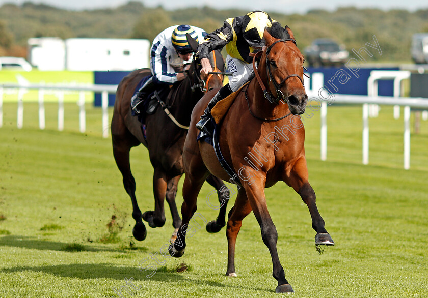 Encore-D Or-0002 
 ENCORE D'OR (Ryan Moore) wins The Pepsi Max Scarbrough Stakes Doncaster 13 Sep 2017 - Pic Steven Cargill / Racingfotos.com