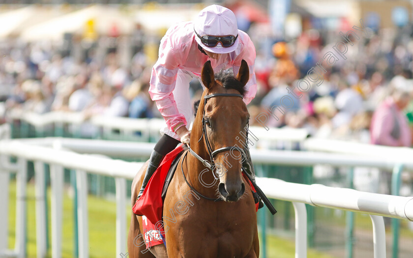 Kingdom-Of-Riches-0001 
 KINGDOM OF RICHES (Rossa Ryan)
Doncaster 15 Sep 2023 - Pic Steven Cargill / Racingfotos.com