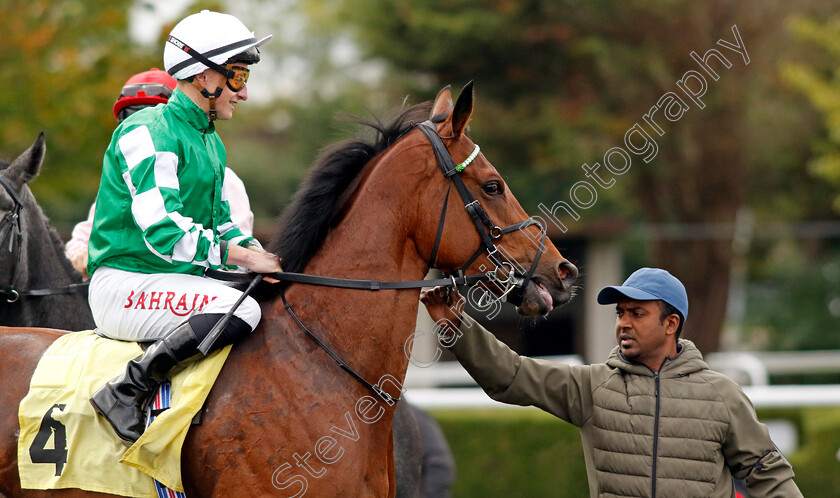 Dramatic-Quest-0001 
 DRAMATIC QUEST (Tom Marquand)
Kempton 2 Oct 2024 - pic Steven Cargill / Racingfotos.com