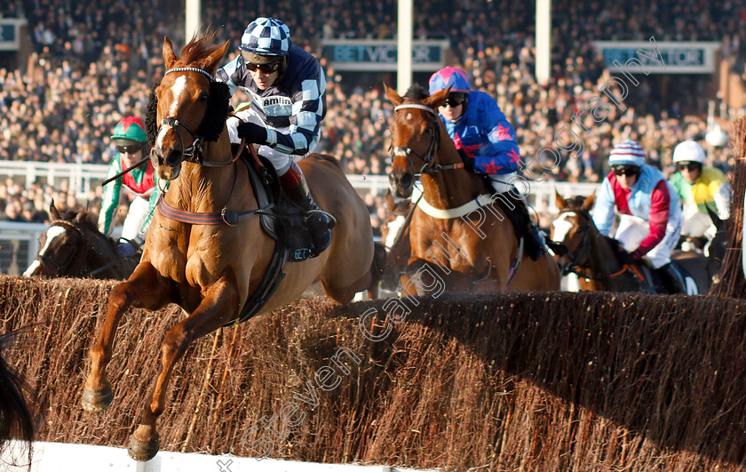 Rock-The-Kasbah-0001 
 ROCK THE KASBAH (Richard Johnson) wins The BetVictor.com Handicap Chase
Cheltenham 17 Nov 2018 - Pic Steven Cargill / Racingfotos.com