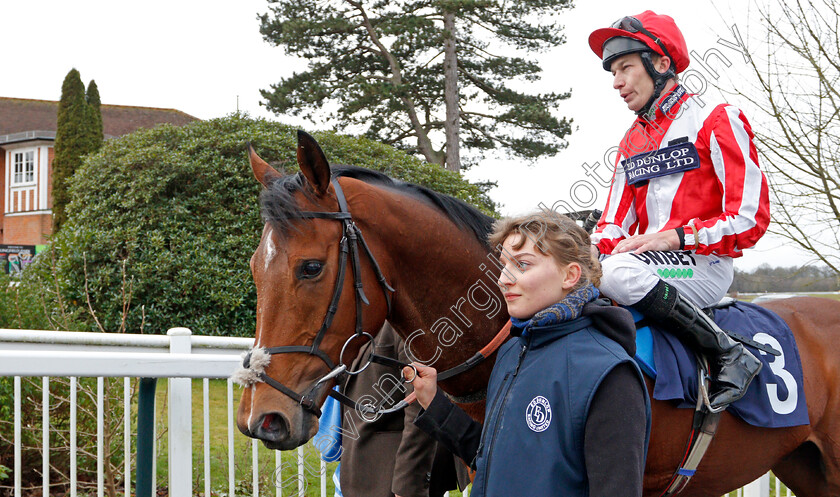 Toro-Dorado-0003 
 TORO DORADO (Luke Morris) after The Bombardier Golden Beer Handicap Div1
Lingfield 2 Jan 2020 - Pic Steven Cargill / Racingfotos.com