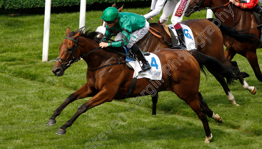 Duneflower-0005 
 DUNEFLOWER (Kieran O'Neill) wins The Acorn Insurance British EBF Valiant Stakes
Ascot 26 Jul 2019 - Pic Steven Cargill / Racingfotos.com