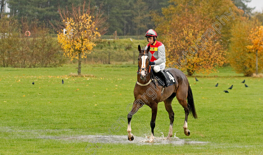 Superstylin-0001 
 SUPERSTYLIN (Charlie Hammond)
Market Rasen 17 Nov 2022 - Pic Steven Cargill / Racingfotos.com