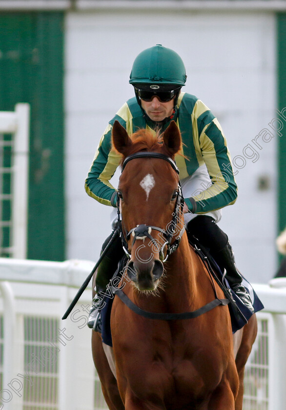 Telemark-0007 
 TELEMARK (Jack Mitchell) winner of The British Stallion Studs EBF Novice Stakes
Yarmouth 16 Oct 2023 - Pic Steven Cargill / Racingfotos.com