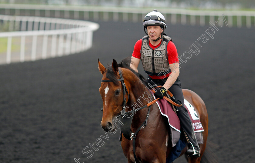 Eldar-Eldarov-0002 
 ELDAR ELDAROV training for the Dubai Gold Cup
Meydan Dubai 26 Mar 2024 - Pic Steven Cargill / Racingfotos.com