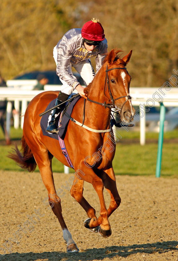 Al-Daiha-0001 
 AL DAIHA (Luke Morris)
Lingfield 10 Jan 2020 - Pic Steven Cargill / Racingfotos.com