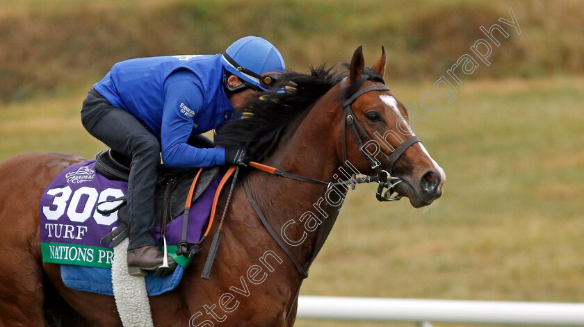 Nations-Pride-0003 
 NATIONS PRIDE training for the Breeders' Cup Turf
Keeneland USA 1 Nov 2022 - Pic Steven Cargill / Racingfotos.com