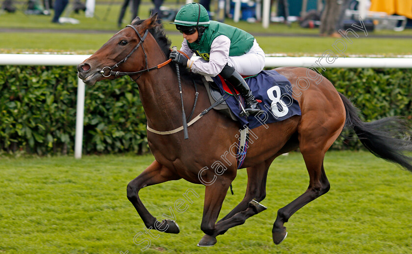 Kryptos-0005 
 KRYPTOS (Nicola Currie) wins The P J Towey Construction Ltd Handicap Doncaster 16 Sep 2017 - Pic Steven Cargill / Racingfotos.com