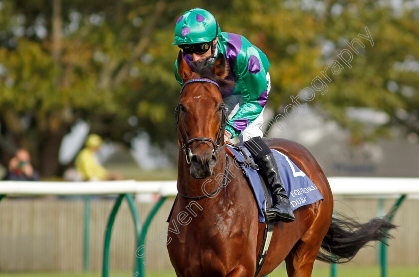 Prague-0013 
 PRAGUE (Daniel Tudhope) winner of The Al Basti Equiworld Dubai Joel Stakes
Newmarket 27 Sep 2024 - Pic Steven Cargill / Racingfotos.com