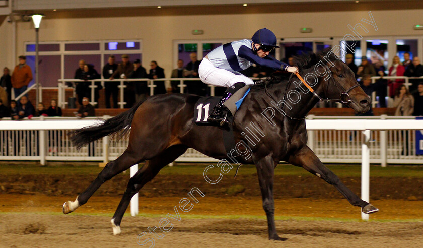 Bowerman-0004 
 BOWERMAN (Jack Mitchell) wins The Bet toteexacta At betfred.com Handicap Chelmsford 7 Dec 2017 - Pic Steven Cargill / Racingfotos.com