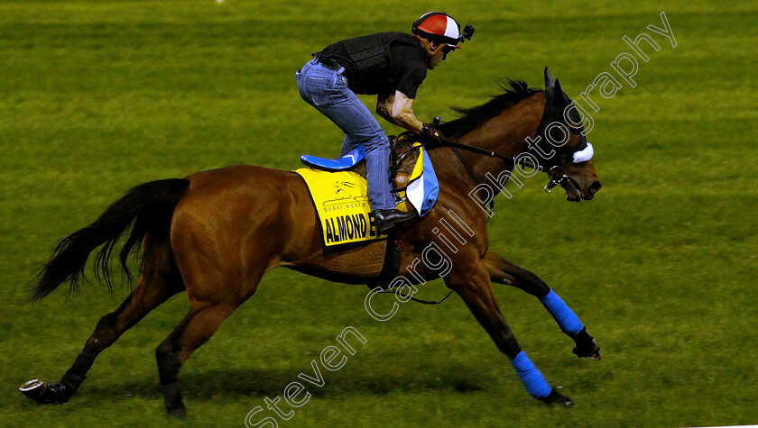 Almond-Eye-0008 
 ALMOND EYE training for the Dubai Turf
Meydan 27 Mar 2019 - Pic Steven Cargill / Racingfotos.com