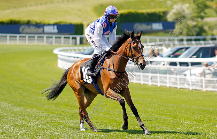 Pure-Gold-0001 
 PURE GOLD (Hayley Turner)
Goodwood 26 May 2023 - Pic Steven Cargill / Racingfotos.com