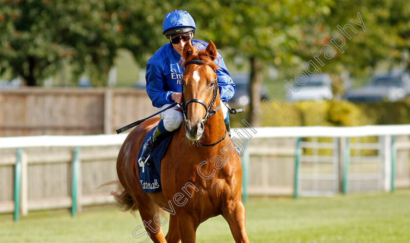 Modern-Games-0001 
 MODERN GAMES (William Buick) winner of The Tattersalls Stakes
Newmarket 23 Sep 2021 - Pic Steven Cargill / Racingfotos.com