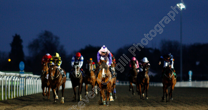 Ubla-0002 
 UBLA (pink, Luke Morris) wins The Bet At racingtv.com Handicap
Kempton 17 Feb 2020 - Pic Steven Cargill / Racingfotos.com