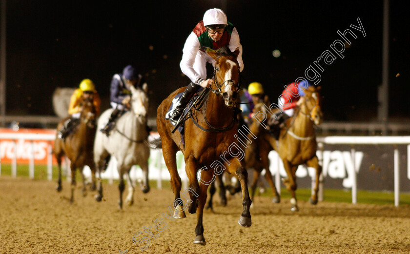 She s-Got-You-0006 
 SHE'S GOT YOU (Robert Havlin) wins The Ladbrokes Home Of The Odds Boost Fillies Novice Stakes Div1
Wolverhampton 10 Dec 2018 - Pic Steven Cargill / Racingfotos.com