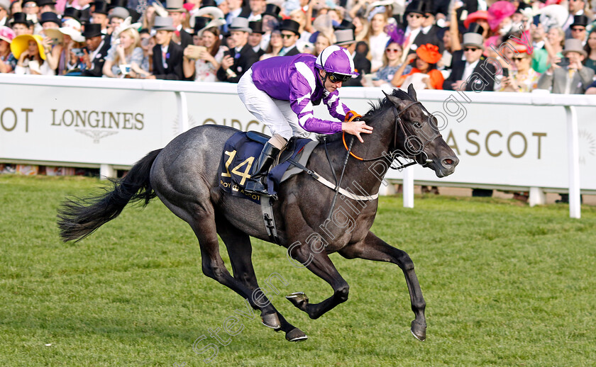 Pilgrim-0001 
 PILGRIM (Joe Fanning) wins The Palace of Holyroodhouse Stakes
Royal Ascot 21 Jun 2024 - Pic Steven Cargill / Racingfotos.com