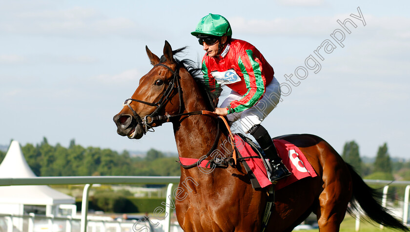 Miss-Bluebelle-0001 
 MISS BLUEBELLE (P J McDonald)
Sandown 25 May 2023 - Pic Steven Cargill / Racingfotos.com