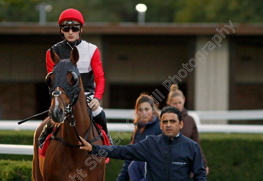 Liseo-0001 
 LISEO (Harry Davies)
Kempton 2 Oct 2024 - pic Steven Cargill / Racingfotos.com