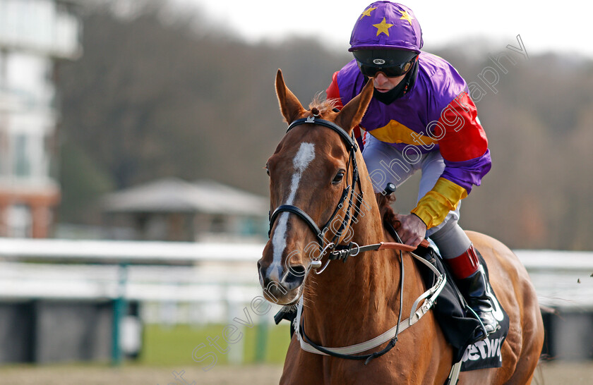 Lucky-Deal-0002 
 LUCKY DEAL (Franny Norton)
Lingfield 2 Apr 2021 - Pic Steven Cargill / Racingfotos.com