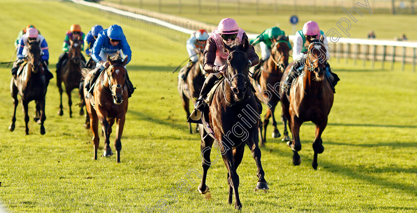 I-Am-I-Said-0005 
 I AM I SAID (Richard Kingscote) wins The British Stallion Studs EBF Future Stayers Novice Stakes
Newmarket 23 Oct 2024 - Pic Steven Cargill / Racingfotos.com