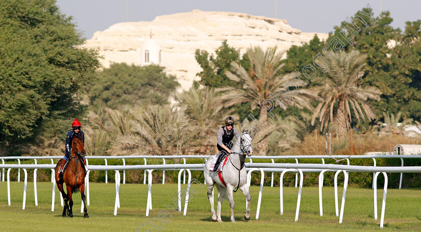 Lord-Glitters-and-Fev-Rover-0003 
 LORD GLITTERS (Jason Watson) leads FEV ROVER (Paddy Mathers) exercising in preparation for Friday's Bahrain International Trophy
Sakhir Racecourse, Bahrain 17 Nov 2021 - Pic Steven Cargill / Racingfotos.com