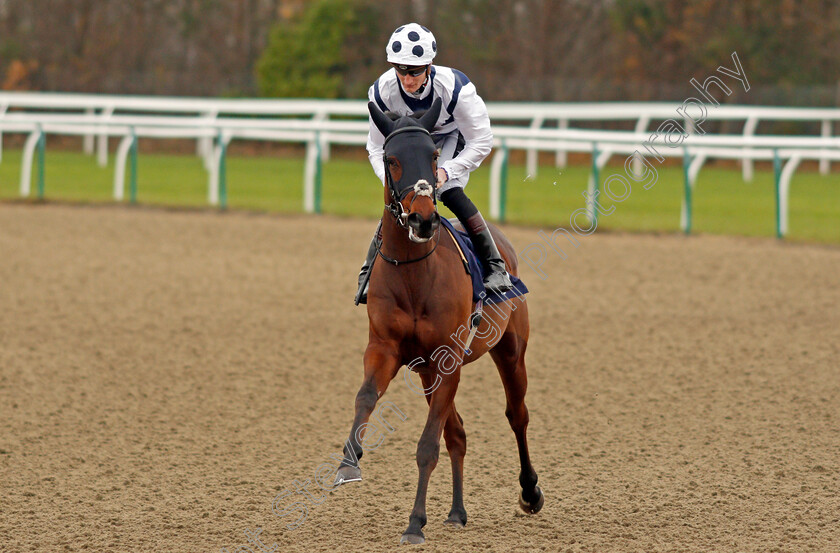 Visor-0001 
 VISOR (Daniel Muscutt) Lingfield 21 Nov 2017 - Pic Steven Cargill / Racingfotos.com