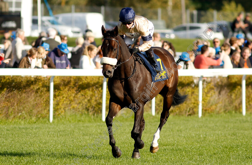 Washington-Heights-0012 
 WASHINGTON HEIGHTS (Hollie Doyle) winner of The Bro Park Sprint Championship
Bro Park, Sweden 17 Sep 2023 - Pic Steven Cargill / Racingfotos.com